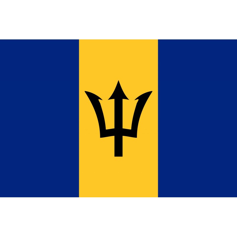drapeaux imprimés