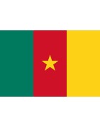 Afrique